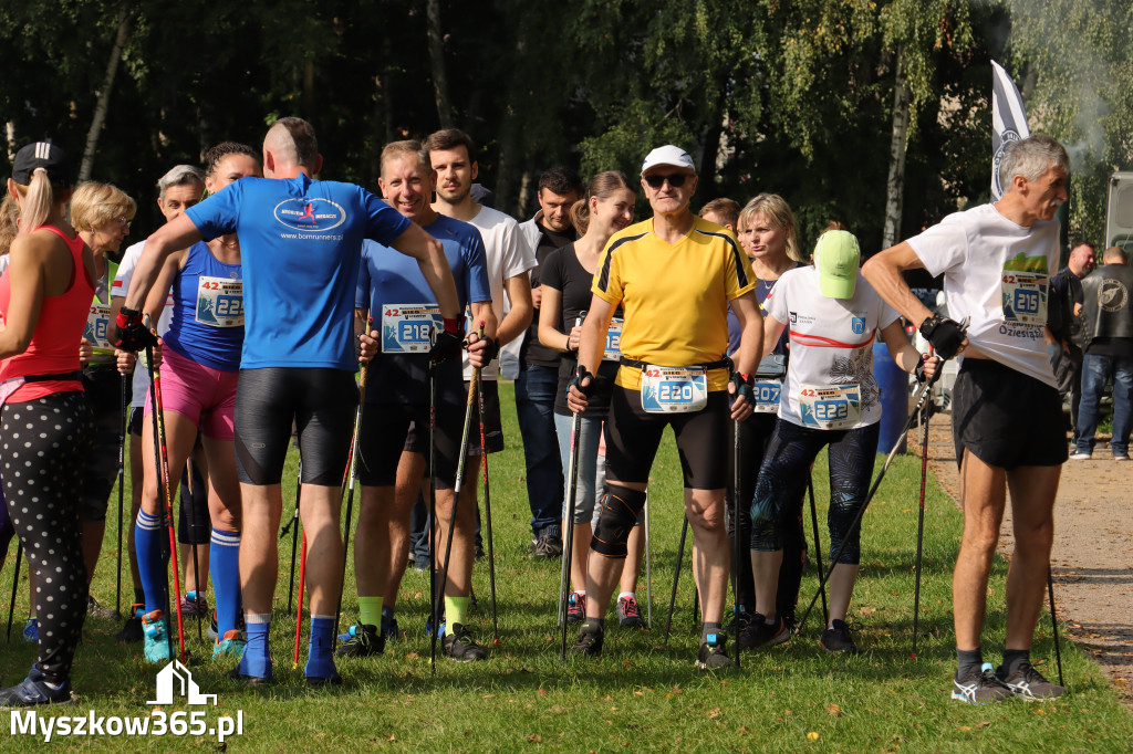 42 Międzynarodowy Bieg V Stawów Myszkowie.