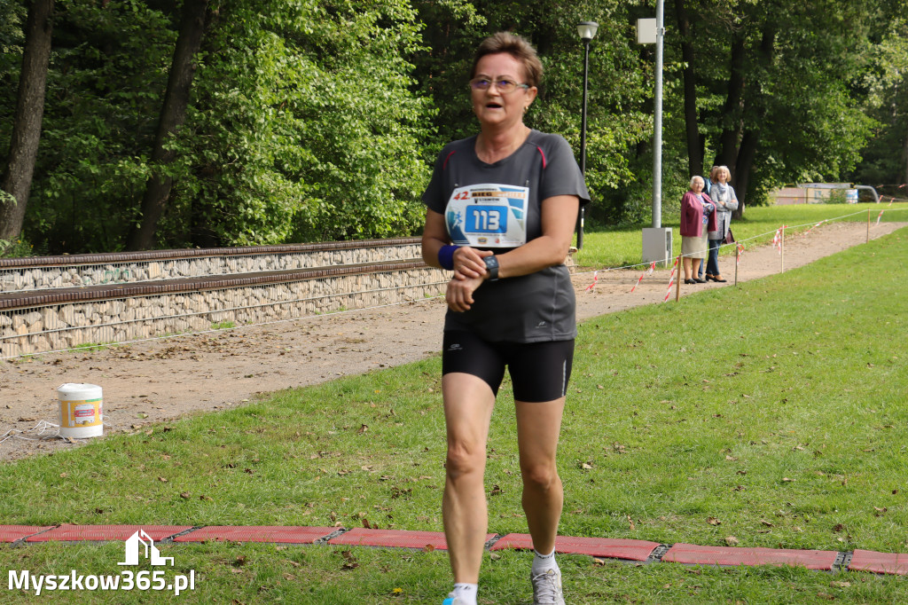 42 Międzynarodowy Bieg V Stawów Myszkowie.