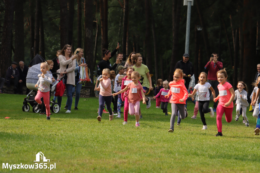 42 Międzynarodowy Bieg V Stawów Myszkowie.