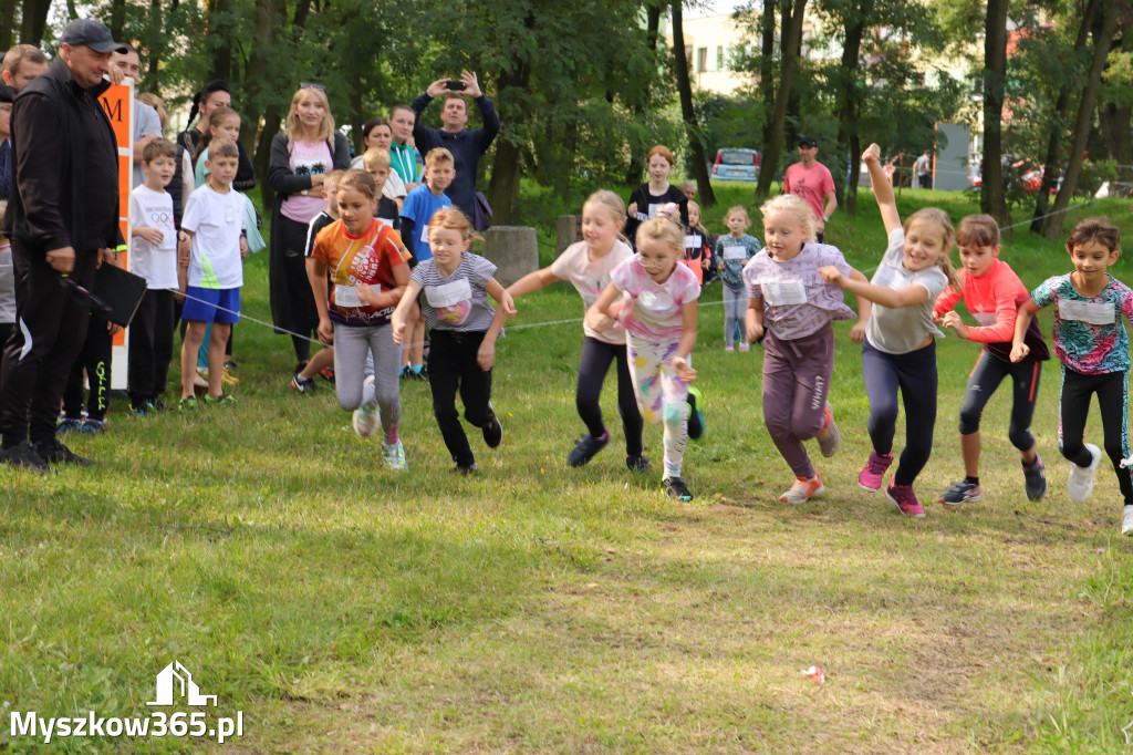 42 Międzynarodowy Bieg V Stawów Myszkowie.