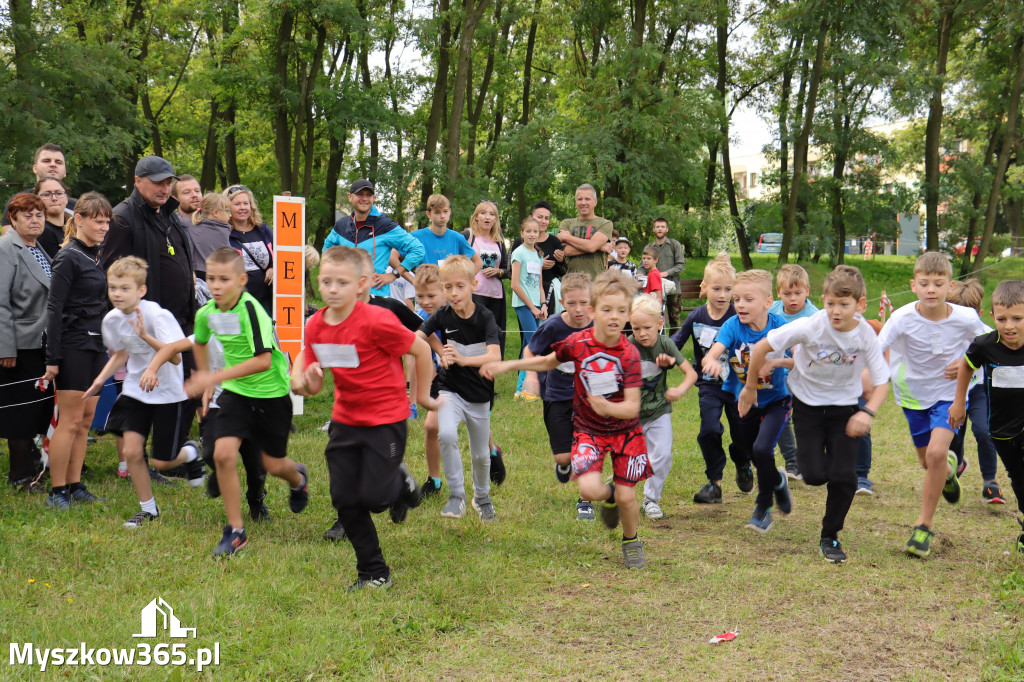 42 Międzynarodowy Bieg V Stawów Myszkowie.