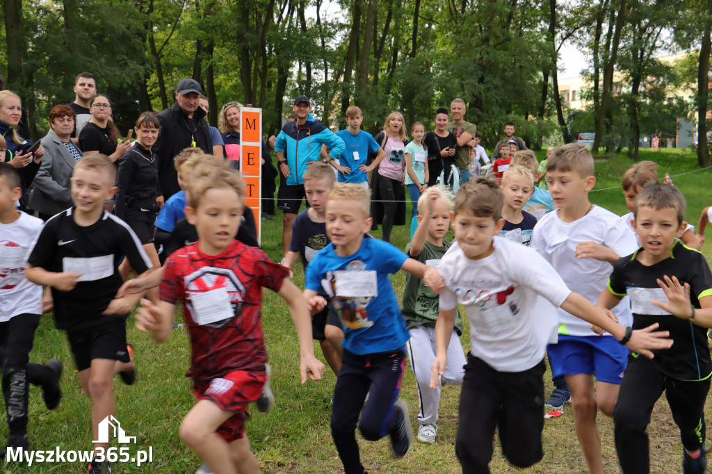 42 Międzynarodowy Bieg V Stawów Myszkowie.