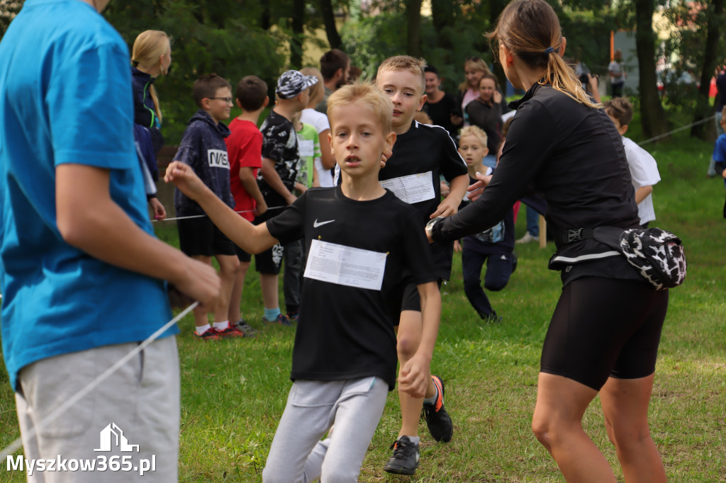 42 Międzynarodowy Bieg V Stawów Myszkowie.