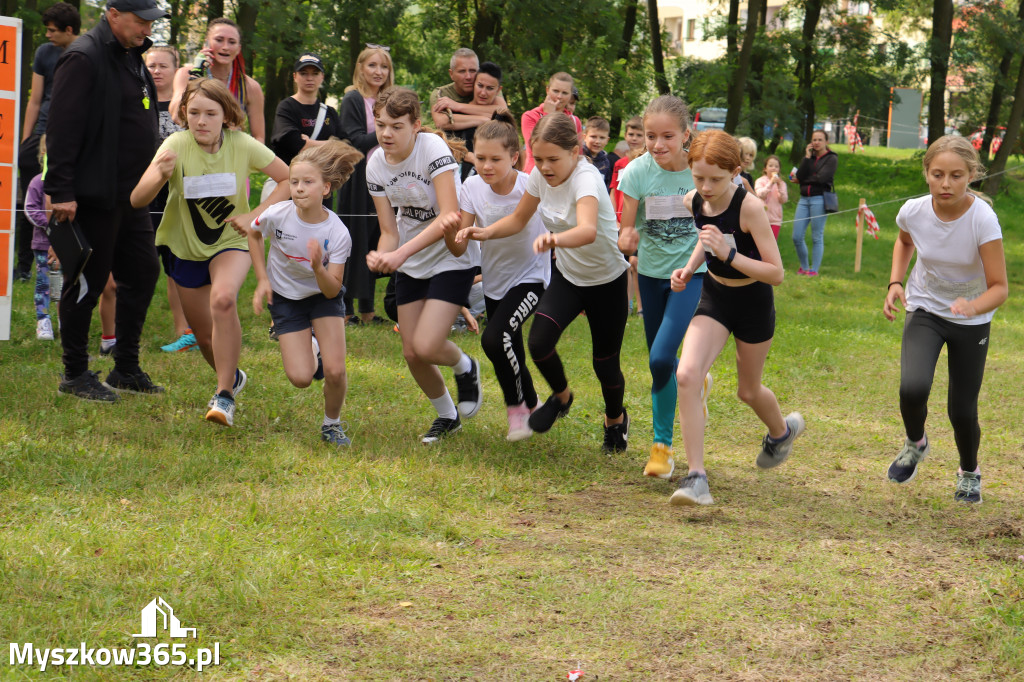 42 Międzynarodowy Bieg V Stawów Myszkowie.