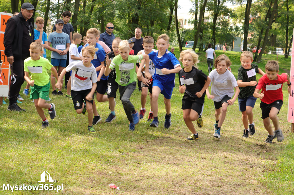 42 Międzynarodowy Bieg V Stawów Myszkowie.