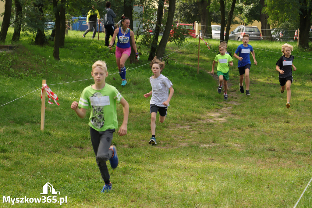 42 Międzynarodowy Bieg V Stawów Myszkowie.