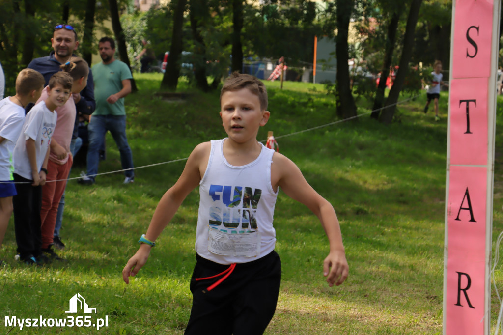 42 Międzynarodowy Bieg V Stawów Myszkowie.