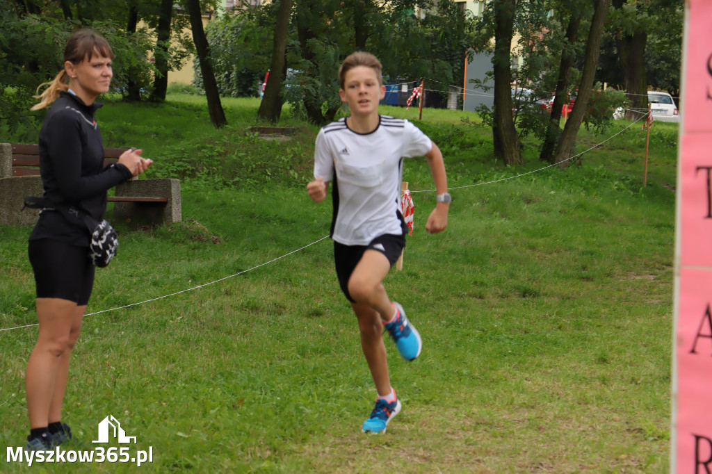 42 Międzynarodowy Bieg V Stawów Myszkowie.