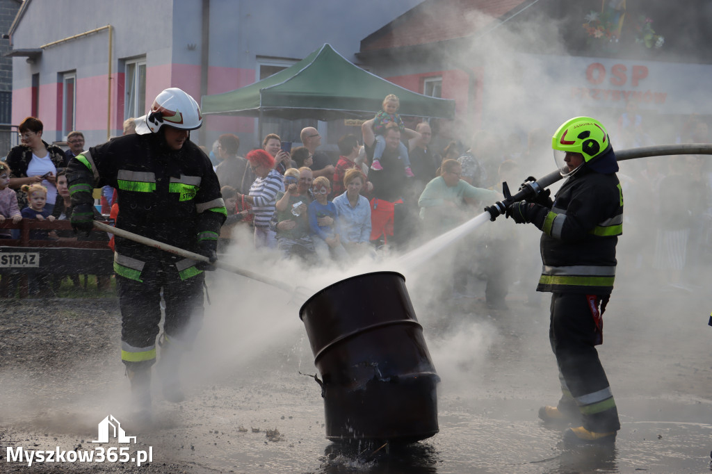 Święto Pieczonego Ziemniaka - Przybynów