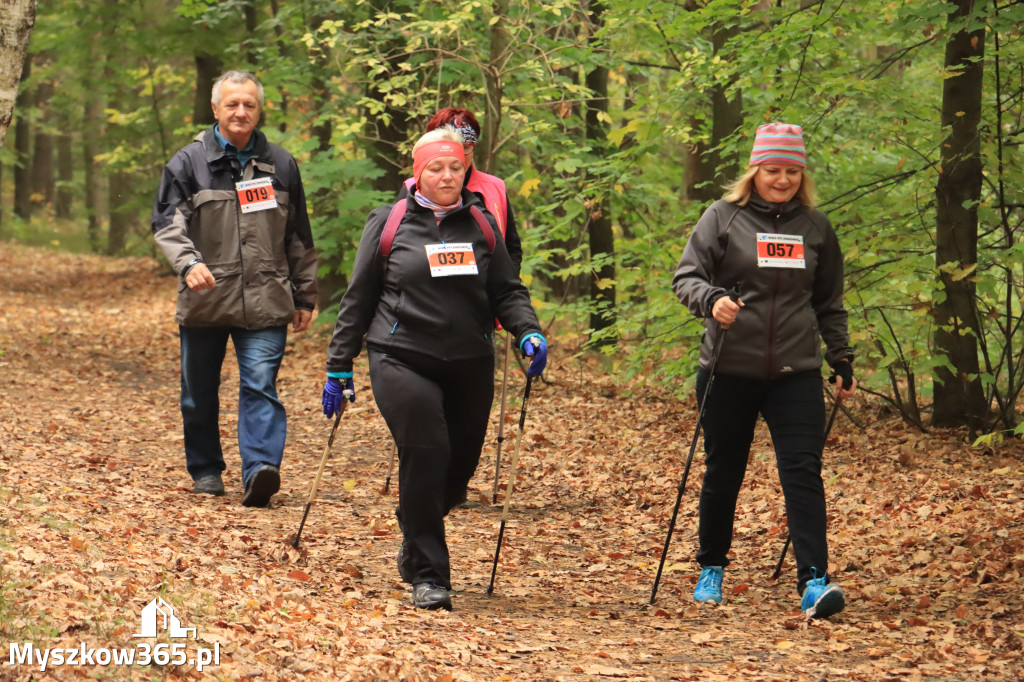 Jesienny BIEG po zdrowie - DOTYK JURY