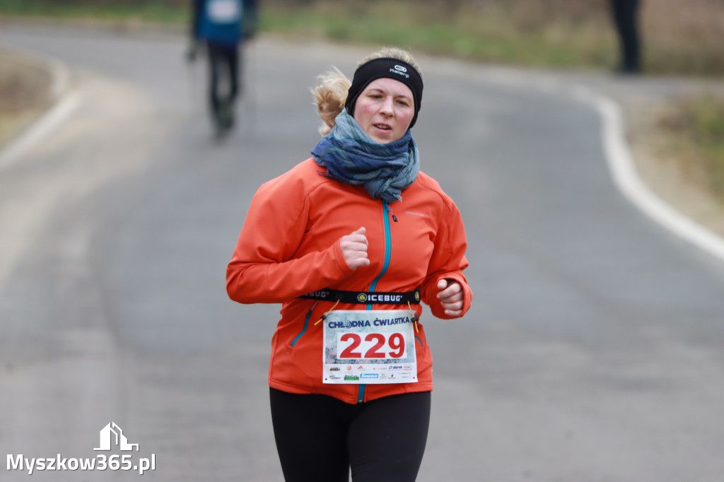 PÓŁMARATON MYSZKOWSKI BIEG NA 11KM MARSZ NORDIC WALKING