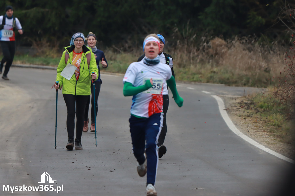 PÓŁMARATON MYSZKOWSKI BIEG NA 11KM MARSZ NORDIC WALKING