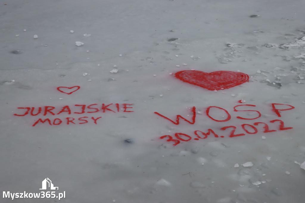 Jurajskie Morsy wspierają WOŚP