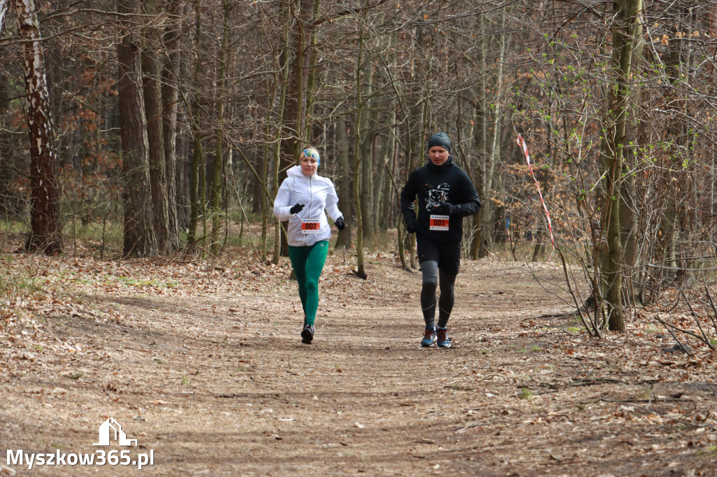  Zapraszamy na niedzielną fotorelacje  biegową  z dniu 10 kwiecień 2022 r.