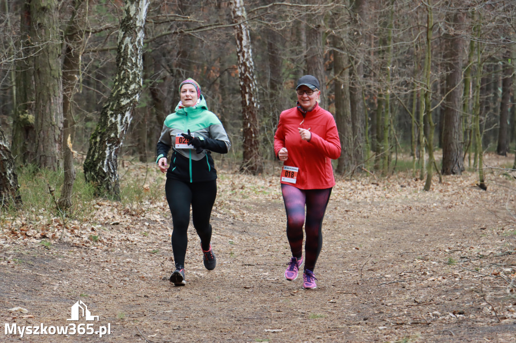  Zapraszamy na niedzielną fotorelacje  biegową  z dniu 10 kwiecień 2022 r.