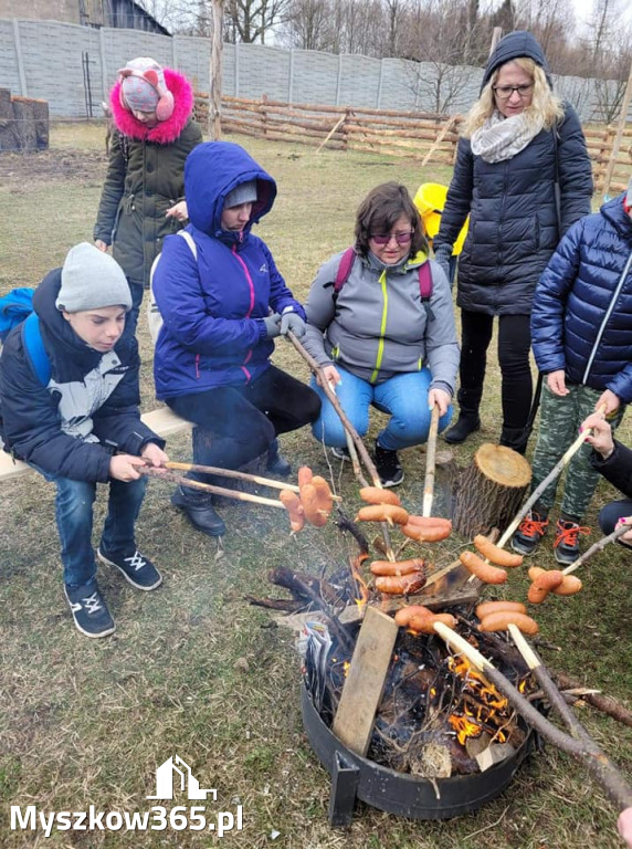 Dilusiowe Alpaki najlepszym sposobem na ponure dni