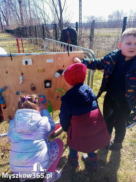 Dilusiowe Alpaki najlepszym sposobem na ponure dni