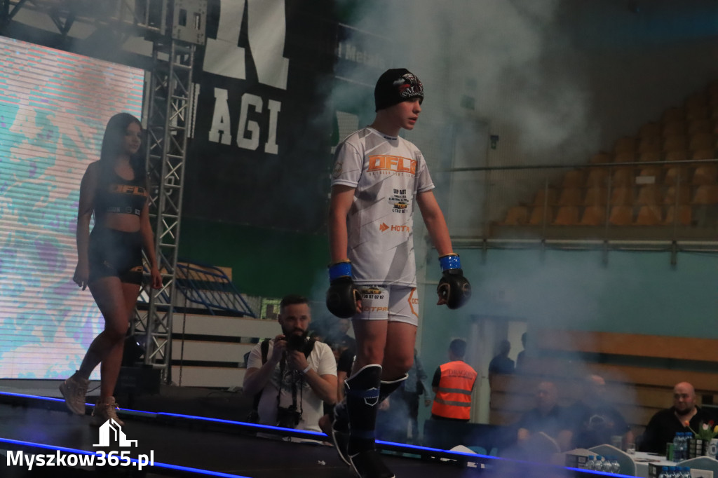 Za nami Gala Octagon Fight League 11 zdjęcia część 1 Zapraszamy do oglądania