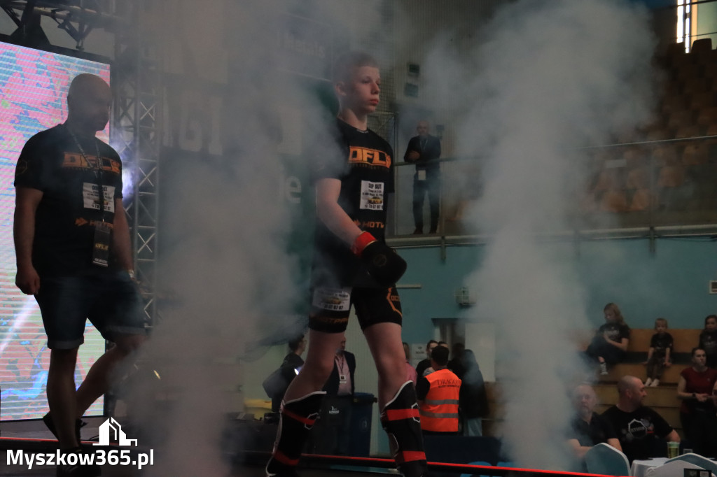Za nami Gala Octagon Fight League 11 zdjęcia część 1 Zapraszamy do oglądania