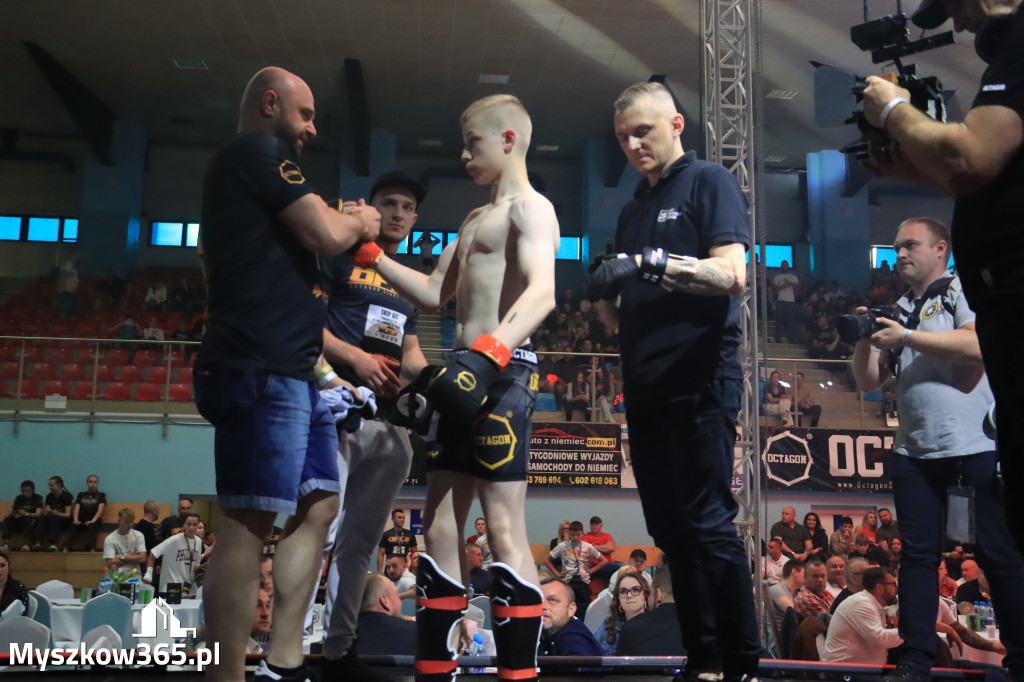 Za nami Gala Octagon Fight League 11 zdjęcia część 1 Zapraszamy do oglądania