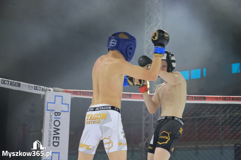 Za nami Gala Octagon Fight League 11 zdjęcia część 1 Zapraszamy do oglądania