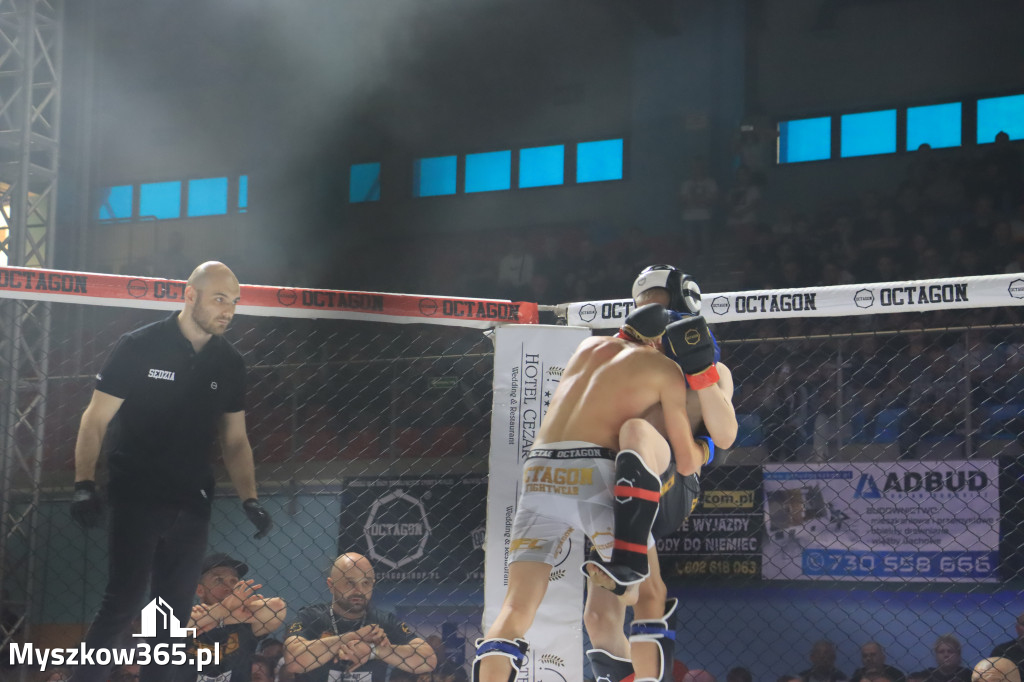 Za nami Gala Octagon Fight League 11 zdjęcia część 1 Zapraszamy do oglądania