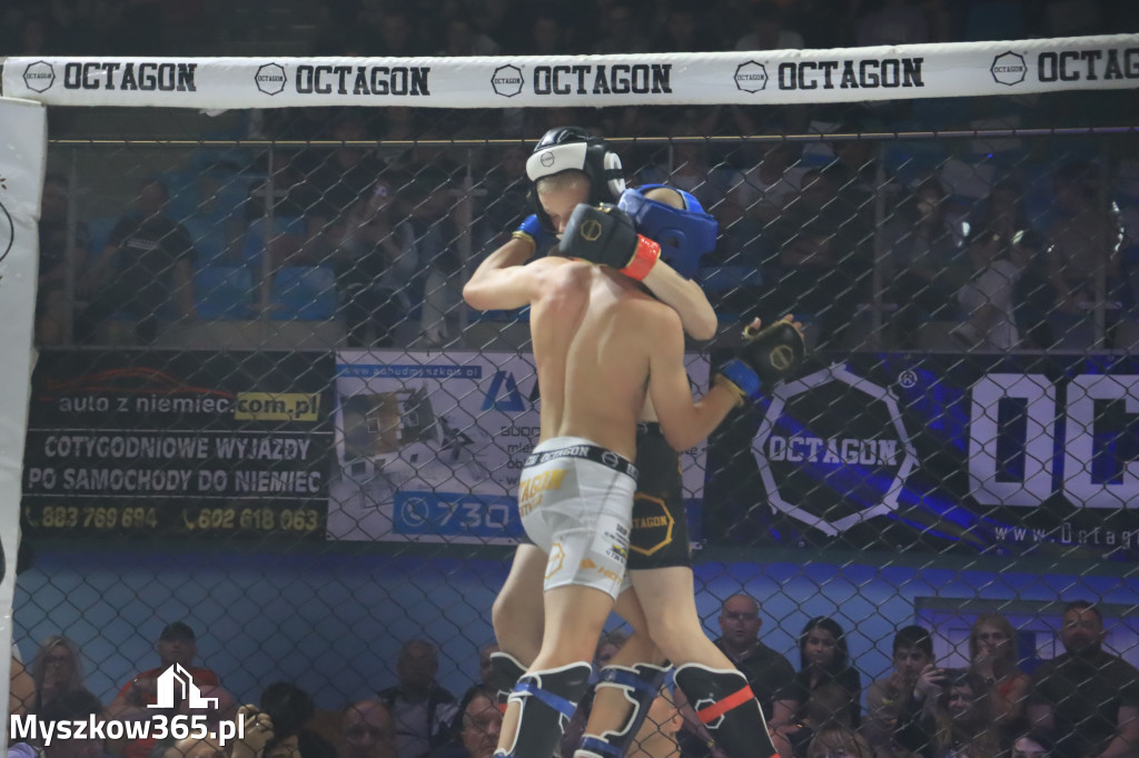 Za nami Gala Octagon Fight League 11 zdjęcia część 1 Zapraszamy do oglądania