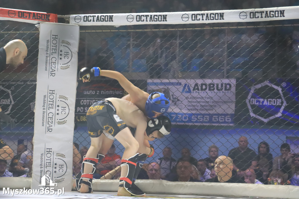 Za nami Gala Octagon Fight League 11 zdjęcia część 1 Zapraszamy do oglądania
