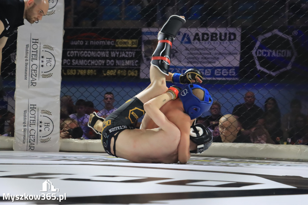 Za nami Gala Octagon Fight League 11 zdjęcia część 1 Zapraszamy do oglądania