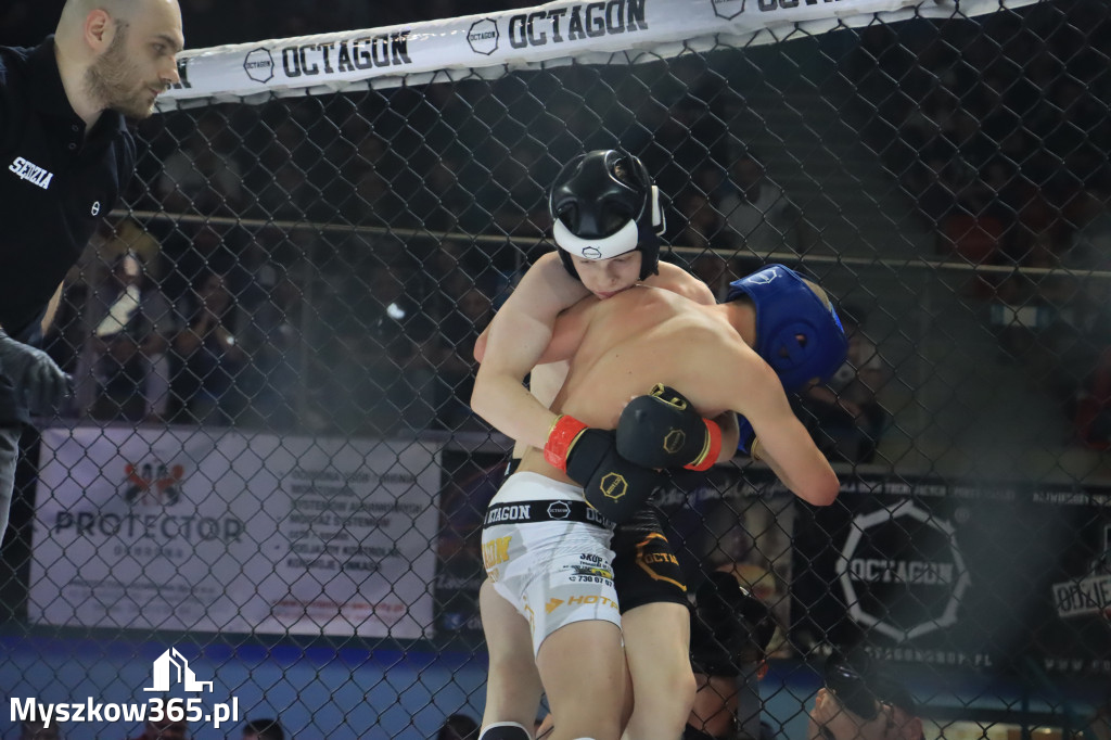 Za nami Gala Octagon Fight League 11 zdjęcia część 1 Zapraszamy do oglądania