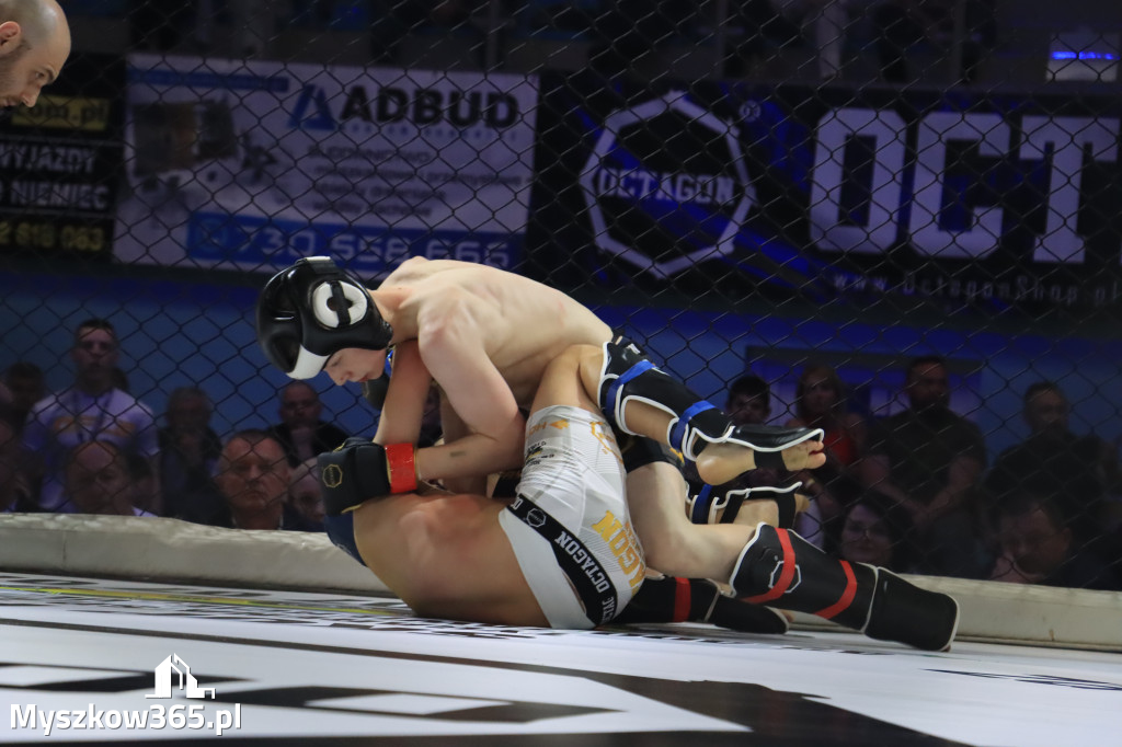 Za nami Gala Octagon Fight League 11 zdjęcia część 1 Zapraszamy do oglądania