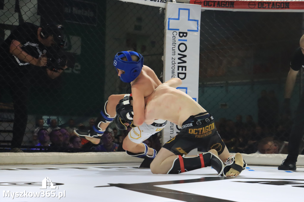 Za nami Gala Octagon Fight League 11 zdjęcia część 1 Zapraszamy do oglądania