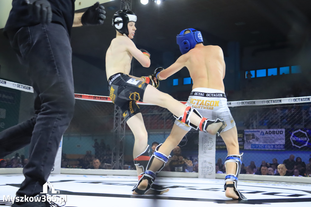 Za nami Gala Octagon Fight League 11 zdjęcia część 1 Zapraszamy do oglądania