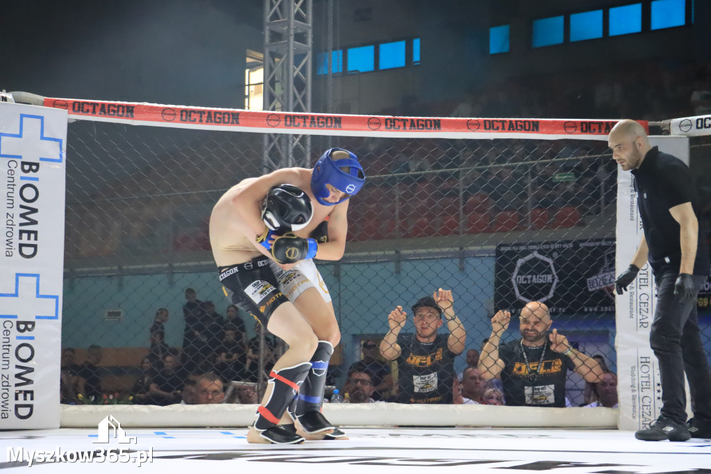 Za nami Gala Octagon Fight League 11 zdjęcia część 1 Zapraszamy do oglądania