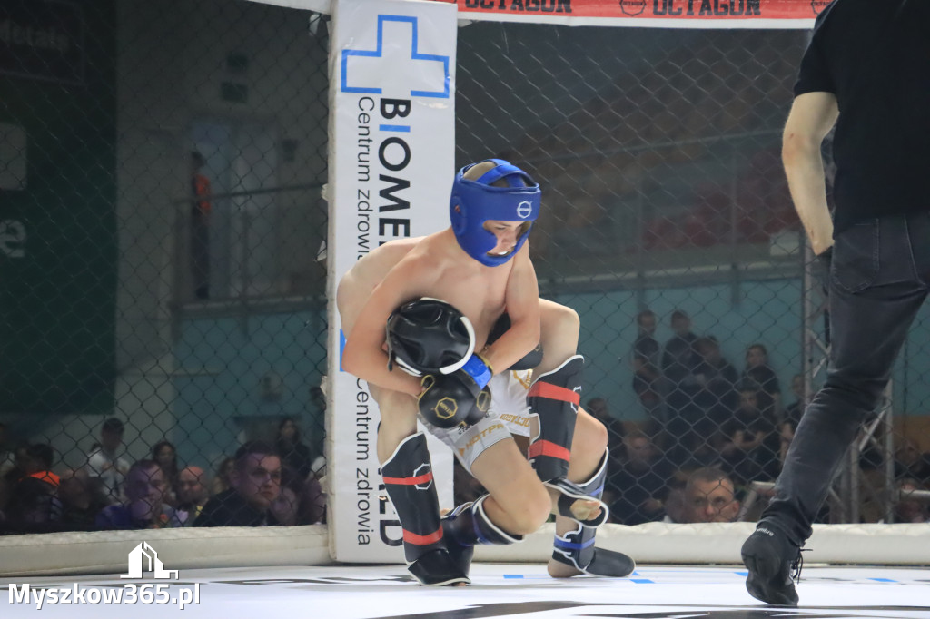 Za nami Gala Octagon Fight League 11 zdjęcia część 1 Zapraszamy do oglądania