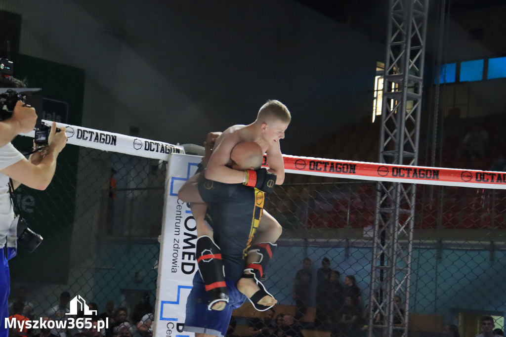 Za nami Gala Octagon Fight League 11 zdjęcia część 1 Zapraszamy do oglądania