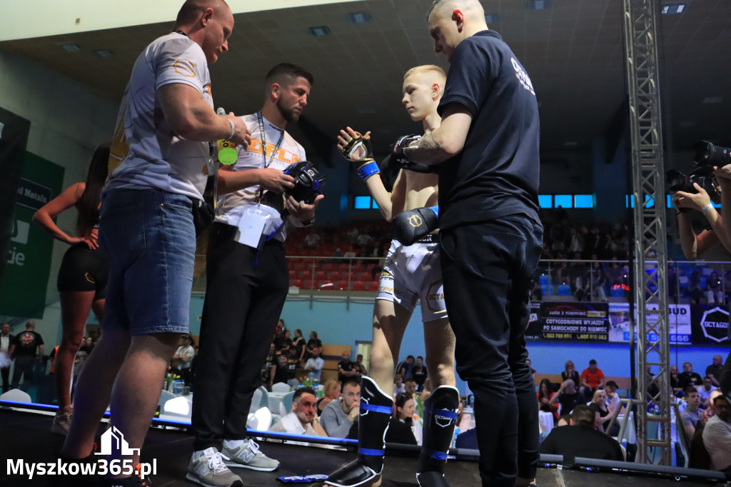Za nami Gala Octagon Fight League 11 zdjęcia część 1 Zapraszamy do oglądania