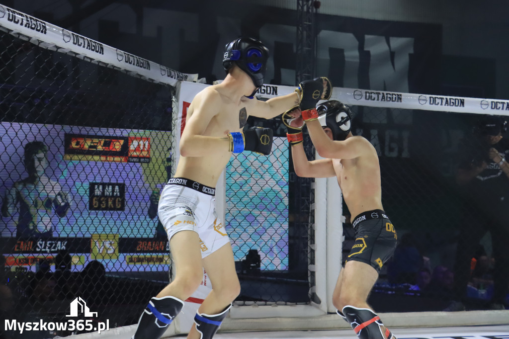 Za nami Gala Octagon Fight League 11 zdjęcia część 1 Zapraszamy do oglądania