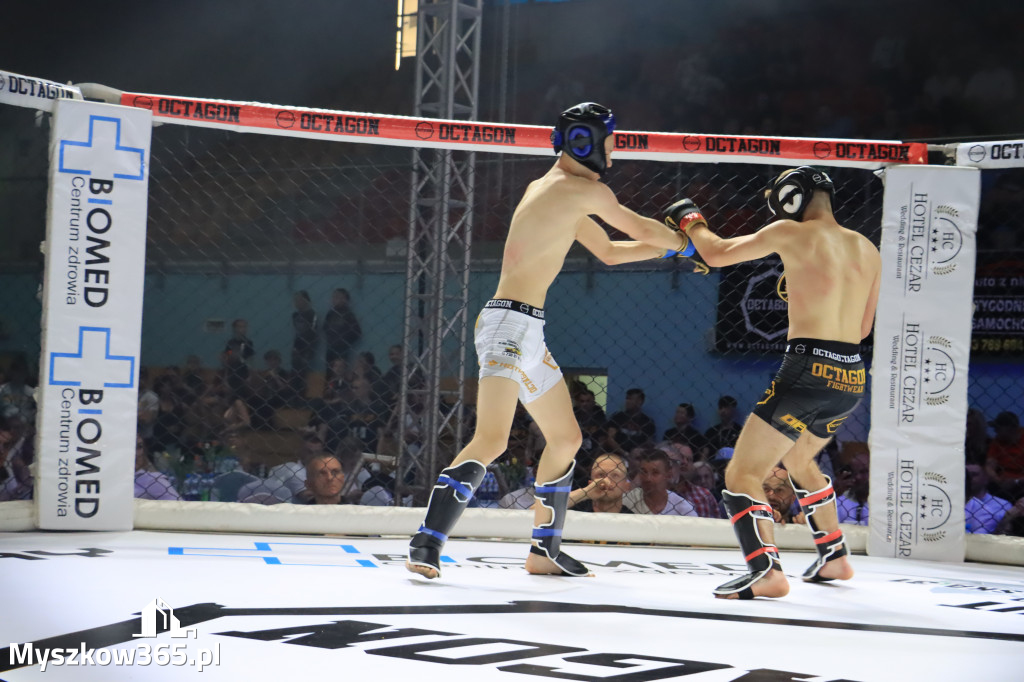 Za nami Gala Octagon Fight League 11 zdjęcia część 1 Zapraszamy do oglądania