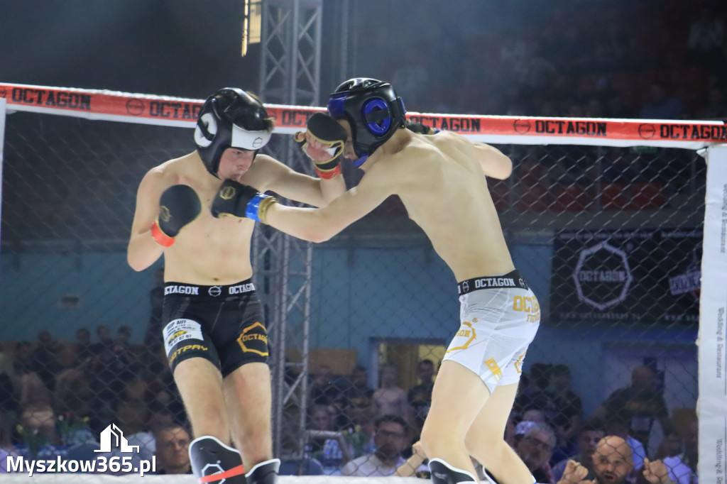 Za nami Gala Octagon Fight League 11 zdjęcia część 1 Zapraszamy do oglądania