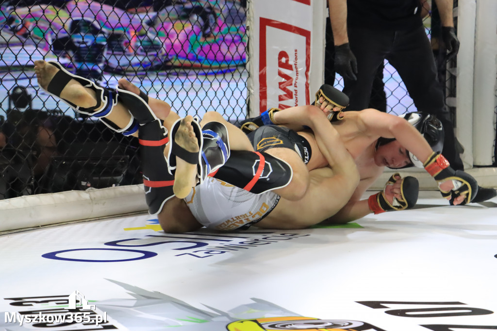 Za nami Gala Octagon Fight League 11 zdjęcia część 1 Zapraszamy do oglądania