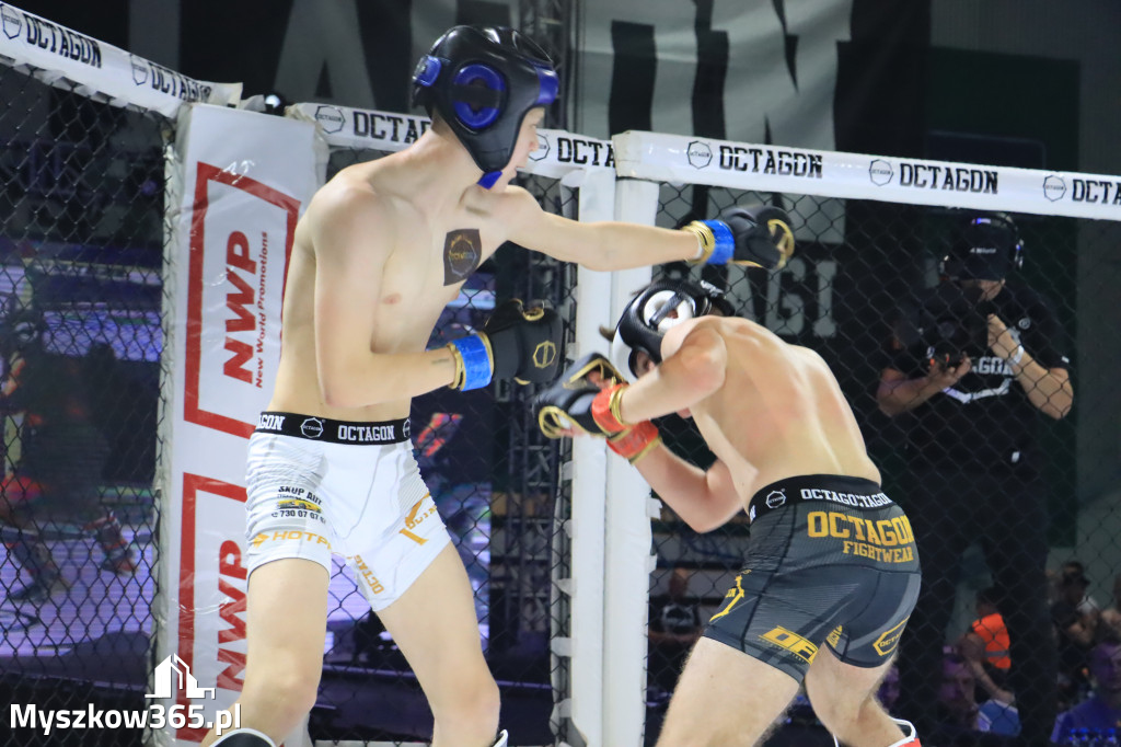 Za nami Gala Octagon Fight League 11 zdjęcia część 1 Zapraszamy do oglądania