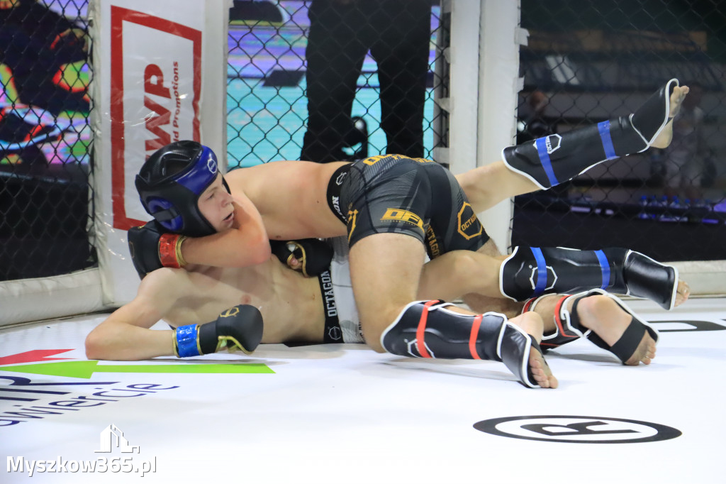 Za nami Gala Octagon Fight League 11 zdjęcia część 1 Zapraszamy do oglądania