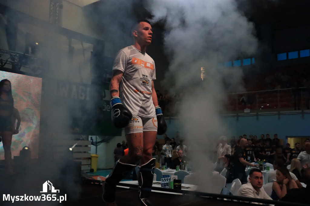 Za nami Gala Octagon Fight League 11 zdjęcia część 1 Zapraszamy do oglądania