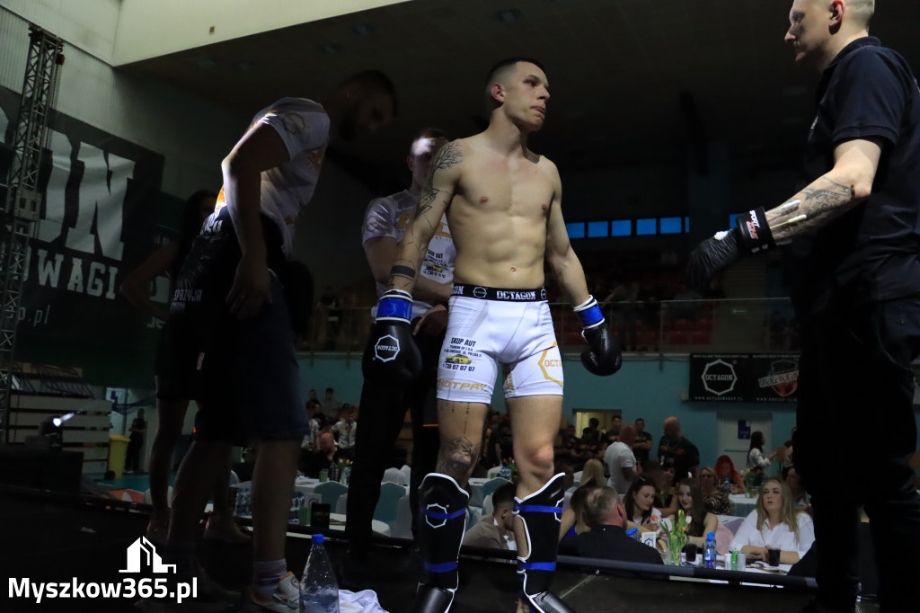 Za nami Gala Octagon Fight League 11 zdjęcia część 1 Zapraszamy do oglądania