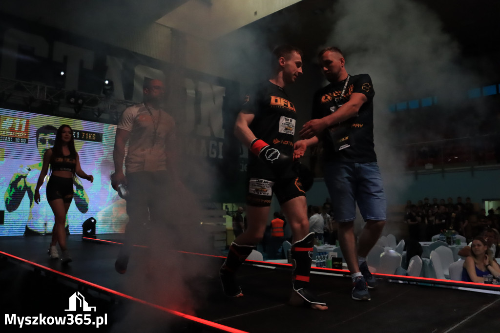 Za nami Gala Octagon Fight League 11 zdjęcia część 1 Zapraszamy do oglądania