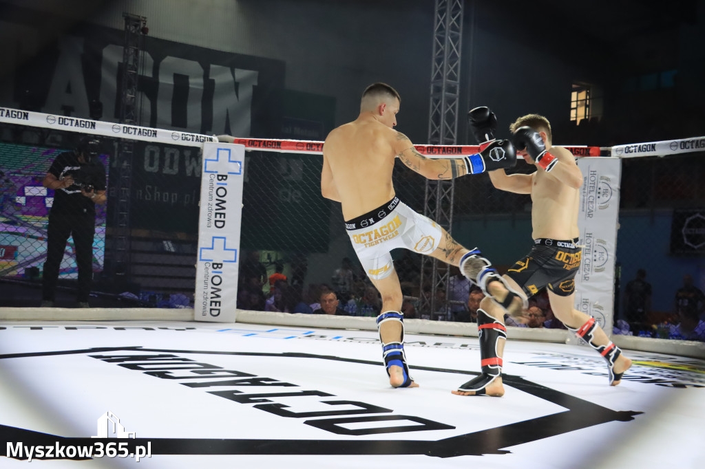 Za nami Gala Octagon Fight League 11 zdjęcia część 1 Zapraszamy do oglądania