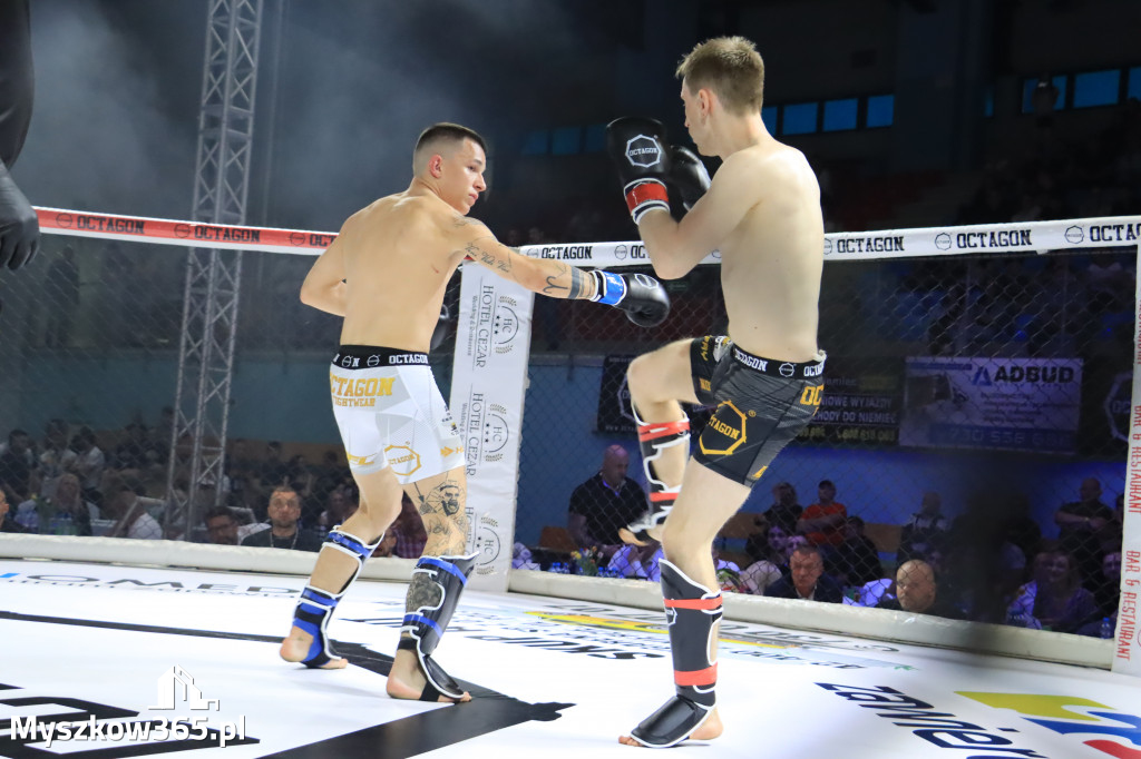 Za nami Gala Octagon Fight League 11 zdjęcia część 1 Zapraszamy do oglądania