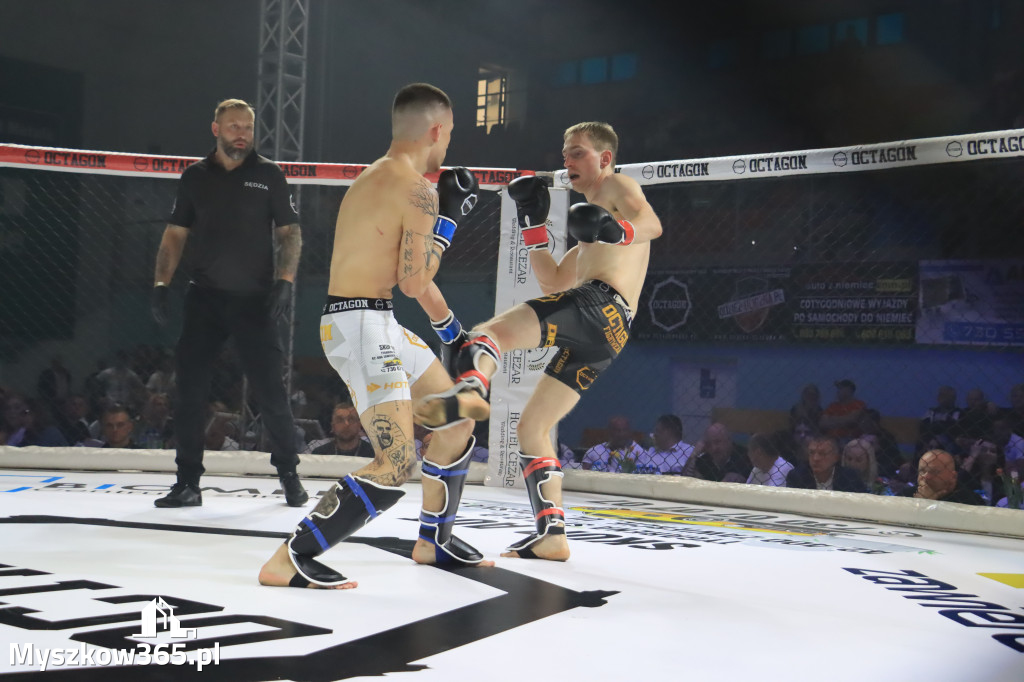 Za nami Gala Octagon Fight League 11 zdjęcia część 1 Zapraszamy do oglądania