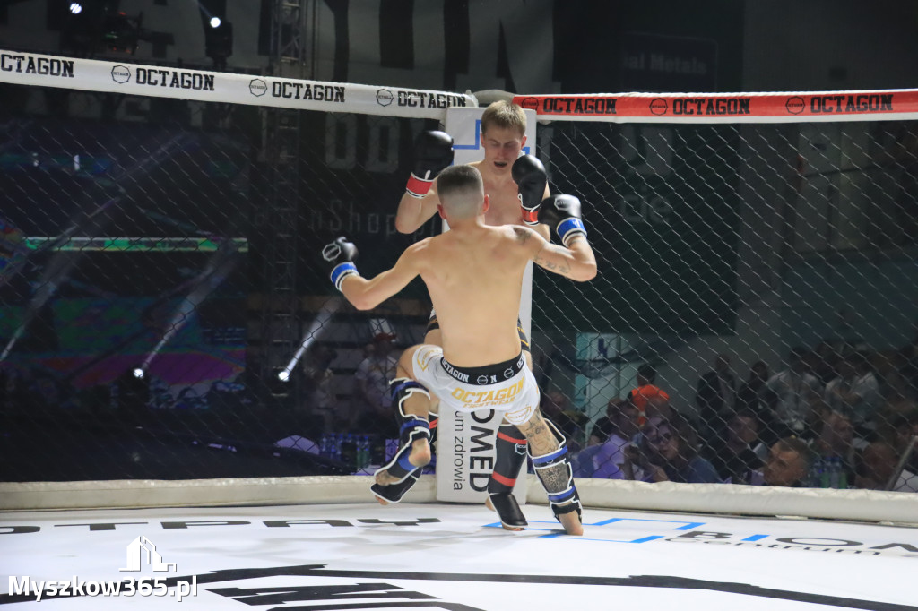 Za nami Gala Octagon Fight League 11 zdjęcia część 1 Zapraszamy do oglądania